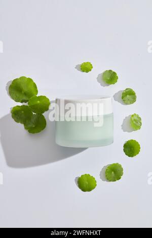 Feuilles de gotu kola disposées en demi-cercle avec un pot d'étiquette vide. Gotu kola (Centella asiatica) est un ingrédient populaire dans les cosmétiques avec l'abilit Banque D'Images