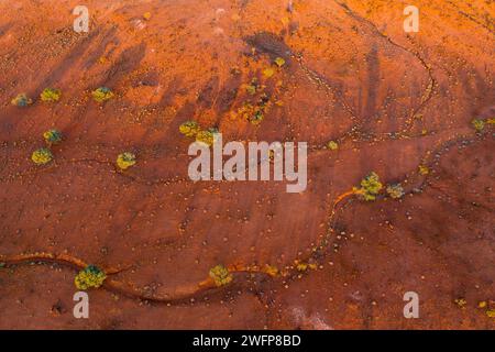 Vue aérienne des lits de rivières à sec serpentant dans un cadre aride de l'outback à Broken Hill, en Nouvelle-Galles du Sud, en Australie. Banque D'Images