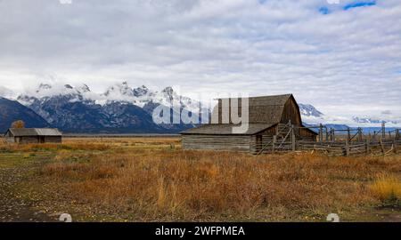 Une grange âgée dans un large champ dans le parc national de Grand Tetons Banque D'Images