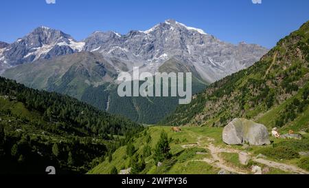 Les Alpes Ortler près de Sulden Tyrol du Sud, Italie par une journée ensoleillée en été Ortler, Koenigspitze, Gran Zebru Stilfs Italie Banque D'Images