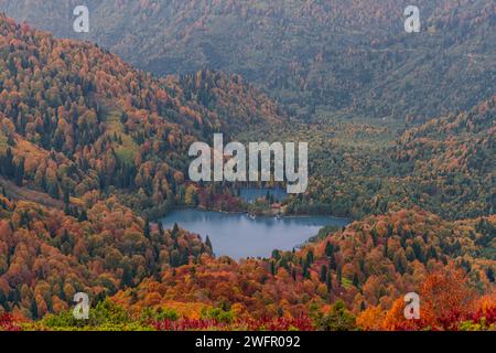 Couleurs d'automne sur les arbres. Artvin Borcka Karagöl vue. Lac entouré de forêts. Banque D'Images