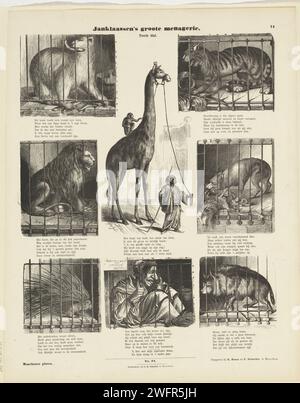 Menagerie Groote de Janklaassen, B. Fröhlich, 1843 - c. 1920 imprimer feuille avec 8 représentations d'animaux dans des cages, dont un ours polaire, un tigre, un loup, une girafe et un porc-épic. L'épouse de Jan Klaassen, Katrijn est assise dans une cage. Sous les images versets. Numéroté au milieu : NRO. 71. Numéroté en haut à droite : 71. Imprimeur : GermanyPublisher : Munich Imprimeur : Munich papier typographie impression Punch et Judy. animaux. bêtes de proie, animaux prédateurs : loup. bêtes de proie, animaux prédateurs : ours polaire. bêtes de proie, animaux prédateurs : tigre. autres mammifères : porcupine Banque D'Images