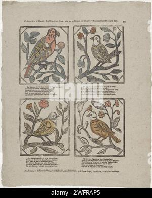 Les oiseaux dans 't Woudt / ceux qui chantent très méchant : parce qu'ils chantent avec Playsier / c'est pourquoi les oiseaux sont ici, c. 1782 - c. 1793 imprimer feuille avec 4 représentations d'oiseaux : un perroquet, un nightingale, un konink d'hiver et un canari, assis sur une branche fleurie. Un verset de six lignes sous chaque image. Numéroté en haut à droite : 54. Editeur : Amsterdamprint fabricant : Netherlands papier letterpress imprimant des oiseaux Banque D'Images