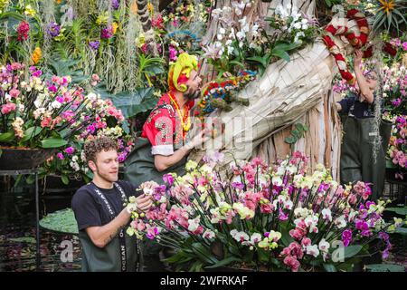 Londres, Royaume-Uni. 01 février 2024. Les horticulteurs de Kew ont mis la touche finale à l'exposition centrale dans l'étang de serres, avec l'horticulteur Henk Roeling dans l'une de ses coiffures colorées, aujourd'hui un caméléon et un lémurien, assorti aux expositions et aux animaux de Madagaskar. Le festival annuel des orchidées de Kew Gardens au Conservatoire Princess of Wales cette année est une célébration de la beauté et de la biodiversité de Madagascar. Il se déroule du 3 février au 3 mars 2024. Crédit : Imageplotter/Alamy Live News Banque D'Images