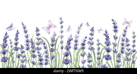 Bordure sans couture avec des fleurs de lavande violettes avec des feuilles vertes et des papillons. Fond d'illustration dessiné à la main à l'aquarelle avec des plantes florales Banque D'Images