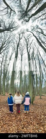 Enfants filles / enfants / enfants / filles contemplent les grands arbres autour d'eux, une partie de Forest School ; une journée d'hiver dans les bois boisés sur West End Common, Esher. Surrey. ROYAUME-UNI. (137) Banque D'Images