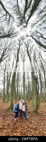 Enfants filles / enfants / enfants / filles contemplent les grands arbres autour d'eux, une partie de Forest School ; une journée d'hiver dans les bois boisés sur West End Common, Esher. Surrey. ROYAUME-UNI. (137) Banque D'Images