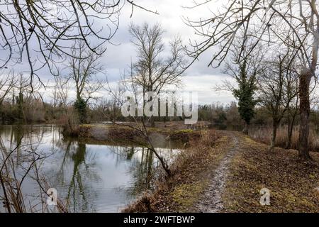 Laubenheim, Allemagne. 01 février 2024. Dans le vieux village viticole de Laubenheim près de Mayence il y a une oasis naturelle spéciale, le Laubenheimer -Ried. Des mesures spéciales de protection sont prises ici pour le lapwing. Les marais et les nombreux fossés sont idéaux pour la flore et la faune luxuriantes, et dans les endroits où le lapwing a besoin de protection, le bord de l'étang a été coupé et protégé par une clôture. Crédit : Helmut Fricke/dpa/Alamy Live News Banque D'Images