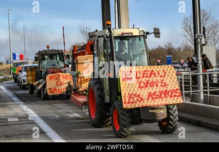 Perpignan, France. 01 février 2024. © PHOTOPQR/L'INDEPENDANT/MICHEL CLEMENTZ ; PERPIGNAN ; 01/02/2024 ; SOCIAL/MANIFESTATION DES AGRICULTEURS EN COLERE/LES TRACTEURS TRAVERSENT LE PEAGE SU DE PERPIGNAN ET PENETRE SUR L'AUTOROUTE A9 POUR UNE OPÉRATION ESCARGOT JUSQU'A LA GRANDE BARRIÈRE DU BOULOU - MANIFESTATION DES AGRICULTEURS FRANÇAIS CONTINUE FRANCE 1 FÉVRIER 2024 CREDIT : MAXPPAMY LIVE NEWS Banque D'Images