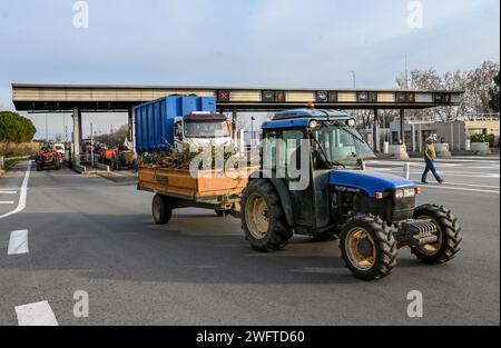 Perpignan, France. 01 février 2024. © PHOTOPQR/L'INDEPENDANT/MICHEL CLEMENTZ ; PERPIGNAN ; 01/02/2024 ; SOCIAL/MANIFESTATION DES AGRICULTEURS EN COLERE/LES TRACTEURS TRAVERSENT LE PEAGE SU DE PERPIGNAN ET PENETRE SUR L'AUTOROUTE A9 POUR UNE OPÉRATION ESCARGOT JUSQU'A LA GRANDE BARRIÈRE DU BOULOU - MANIFESTATION DES AGRICULTEURS FRANÇAIS CONTINUE FRANCE 1 FÉVRIER 2024 CREDIT : MAXPPAMY LIVE NEWS Banque D'Images