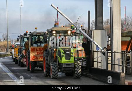 Perpignan, France. 01 février 2024. © PHOTOPQR/L'INDEPENDANT/MICHEL CLEMENTZ ; PERPIGNAN ; 01/02/2024 ; SOCIAL/MANIFESTATION DES AGRICULTEURS EN COLERE/LES TRACTEURS TRAVERSENT LE PEAGE SU DE PERPIGNAN ET PENETRE SUR L'AUTOROUTE A9 POUR UNE OPÉRATION ESCARGOT JUSQU'A LA GRANDE BARRIÈRE DU BOULOU - MANIFESTATION DES AGRICULTEURS FRANÇAIS CONTINUE FRANCE 1 FÉVRIER 2024 CREDIT : MAXPPAMY LIVE NEWS Banque D'Images