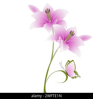 Fond floral avec des fleurs de lys et papillon sur un fond blanc. Illustration de Vecteur