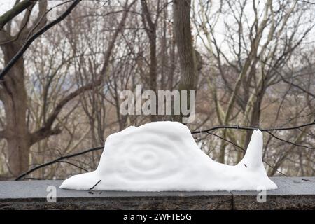 Un escargot de neige près du parc Riverside dans l'Upper West Side de New York. Date de la photo : mardi 23 janvier 2024. Photo : Richard Gray/Alamy Banque D'Images
