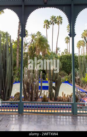 Afrique du Nord Maroc Marrakech Marrakech jardin Yves Saint Laurent jardin Majorelle vue du studio à l'étang avec cactus collection de palmiers Banque D'Images