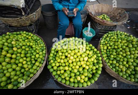 Vendeur vendant des citrons sur un marché, avant la présentation du budget intérimaire 2024 par le ministre des Finances de l’Union, Nirmala Sitharaman, à Guwahati, Assam, Inde, le jeudi 1 février, 2024. crédit : David Talukdar/Alamy Live News Banque D'Images