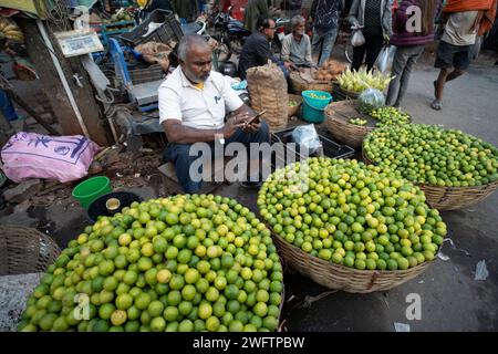 Vendeur vendant des citrons sur un marché, avant la présentation du budget intérimaire 2024 par le ministre des Finances de l’Union, Nirmala Sitharaman, à Guwahati, Assam, Inde, le jeudi 1 février, 2024. crédit : David Talukdar/Alamy Live News Banque D'Images