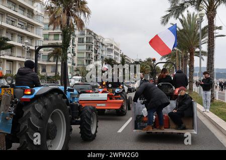 © Francois Glories/MAXPPP - 01/02/2024 colère des agriculteurs du Sud de la France, les tracteurs envahissent le Prom à Nice avec Chouki, la mascotte vache devenue star devant l'hôtel Negresco sur la Promenade des Anglais. Manifestation paysanne sur la Promenade des Anglais à Nice dans le cadre du mouvement national paysan en France et dans plusieurs pays européens. Crédit : MAXPPP/Alamy Live News Banque D'Images