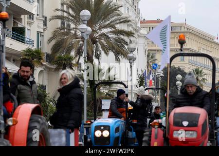 © Francois Glories/MAXPPP - 01/02/2024 colère des agriculteurs du Sud de la France, les tracteurs envahissent le Prom à Nice avec Chouki, la mascotte vache devenue star devant l'hôtel Negresco sur la Promenade des Anglais. Manifestation paysanne sur la Promenade des Anglais à Nice dans le cadre du mouvement national paysan en France et dans plusieurs pays européens. Crédit : MAXPPP/Alamy Live News Banque D'Images