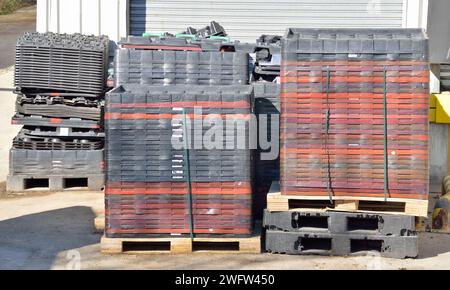 Énorme tas de différents type de palette à une zone d'affaires de recyclage Banque D'Images