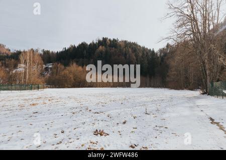 Une scène hivernale d'un champ enneigé avec un arbre solitaire debout, entouré de neige Banque D'Images