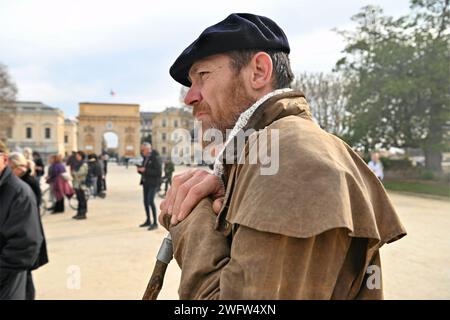 Montpellier, France. 01 février 2024. © PHOTOPQR/LE MIDI LIBRE/JEAN-MICHEL MART ; MONTPELLIER ; 01/02/2024 ; DES AGRICULTEURS DE LA CONFEDERATION PAYSANNE AVEC LEURS BREBIS INVESTISSENT LA PLACE ROYALE DU PEYROU A MONTPELLIER LE 01 02 20224 - manifestation PAYSANNE française Continuer France 1 février 2024 Credit : MAXPPP/Alamy Live News Banque D'Images