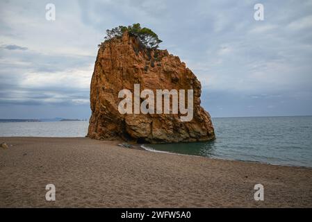 Une vue imprenable sur la plage avec la formation rocheuse Illa Roja Banque D'Images