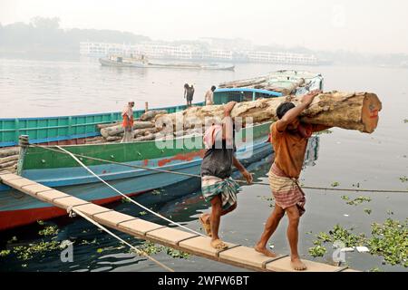 Dhaka, Wari, Bangladesh. 1 février 2024. Les travailleurs trient les grumes de bois déchargées d’un bateau sur les rives de la rivière Buriganga à Dhaka le 01 février 2024. (Image de crédit : © Habibur Rahman/ZUMA Press Wire) USAGE ÉDITORIAL SEULEMENT! Non destiné à UN USAGE commercial ! Banque D'Images