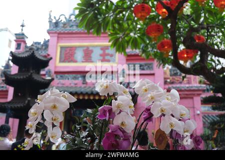 Fleurs et lanternes à la Pagode rose de l'empereur de Jade à Ho Chi Minh ville, Vietnam Banque D'Images