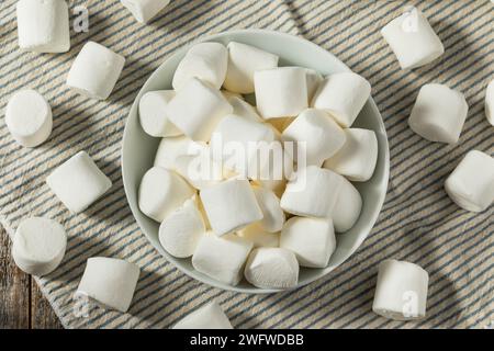 Marshmallows bio Dry Big White dans un bol Banque D'Images