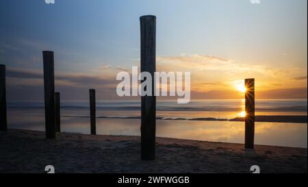 Poteaux monumentaux en bois sur la côte de Petten au coucher du soleil. Banque D'Images