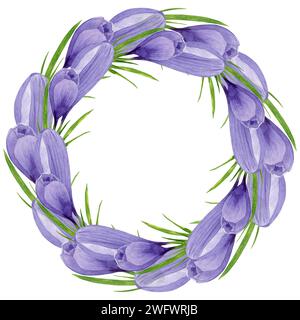 Couronne de crocus violet, cadre de fleurs de printemps peint à la main illustration florale aquarelle isolée sur fond blanc élément de conception pour étiquette, logo, Banque D'Images