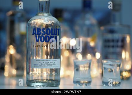 Allemagne. 01 février 2024. Dans cette illustration photo, une bouteille de vodka Absolut est affichée dans une barre crédit : SOPA Images Limited/Alamy Live News Banque D'Images