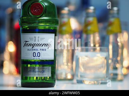 Allemagne. 01 février 2024. Dans cette illustration photo, une bouteille de Tanqueray Alcohol Free Gin vu affiché dans un bar. Crédit : SOPA Images Limited/Alamy Live News Banque D'Images