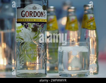 Allemagne. 01 février 2024. Dans cette illustration photo, une bouteille de Gordon's London Dry Gin vue exposée dans un bar. (Photo Igor Golovniov/SOPA Images/Sipa USA) *** strictement à des fins éditoriales *** crédit : SIPA USA/Alamy Live News Banque D'Images