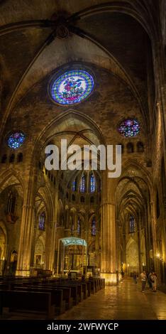 Vue générale de l'intérieur de la cathédrale de Gérone Banque D'Images