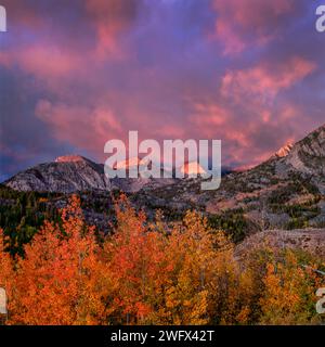 Lever du soleil, tempête éclairante, Aspen, Muir Wilderness, forêt nationale d'Inyo, Eastern Sierra, Californie Banque D'Images