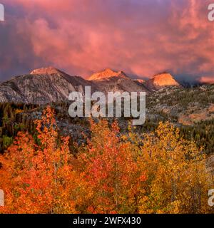 Lever du soleil, tempête éclairante, Aspen, Muir Wilderness, forêt nationale d'Inyo, Eastern Sierra, Californie Banque D'Images