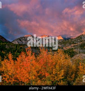 Lever du soleil, tempête éclairante, Aspen, Muir Wilderness, forêt nationale d'Inyo, Eastern Sierra, Californie Banque D'Images