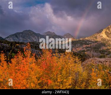 Rainbow, Clearing Storm, Aspen, John Muir Wilderness, Inyo National Forest, Eastern Sierra, Californie Banque D'Images