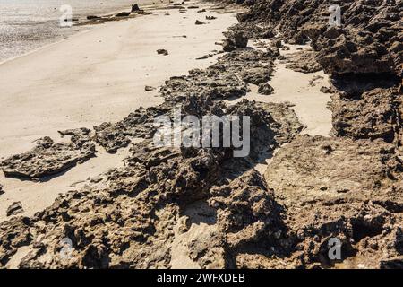 Petites pierres irrégulières visibles à la plage de sable lavées par l'eau de mer par une journée ensoleillée, détail de gros plan Banque D'Images