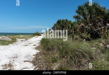 Sunset Beach, Floride. Le 1 septembre 2023, le corps des ingénieurs de l'armée américaine, le commandant du district de Jacksonville, le colonel James Booth et le lieutenant Amanda Warren prennent des photos pour les comparer à celles qu'ils ont prises avant que l'ouragan Idalia ne contourne la côte sud-ouest de la Floride après l'ouragan Idalia. Le U.S. Army corps of Engineers, district de Jacksonville, envoie des équipes pour effectuer des évaluations post-dommages sur les projets fédéraux. À partir de là, les rapports de mise en œuvre du projet sont lancés pour déterminer l'admissibilité du projet au financement de réhabilitation PL84-99 FCCE. Banque D'Images