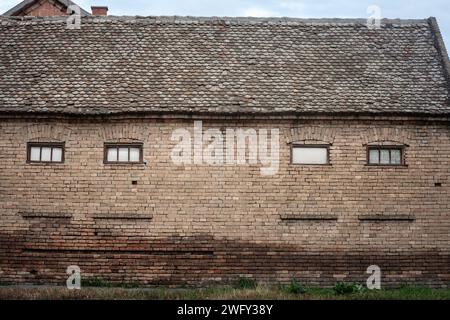 Photo d'une ferme abandonnée dans la campagne serbe à Alibunar, Voïvodine, Serbie. Banque D'Images