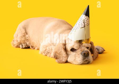 Mignon Cocker Spaniel avec chapeau de fête sur fond jaune Banque D'Images