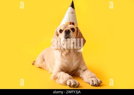 Mignon Cocker Spaniel avec chapeau de fête sur fond jaune Banque D'Images