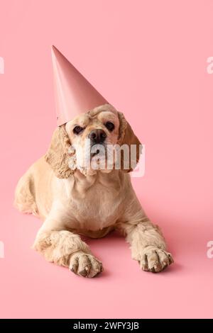 Mignon Cocker Spaniel avec chapeau de fête sur fond rose Banque D'Images