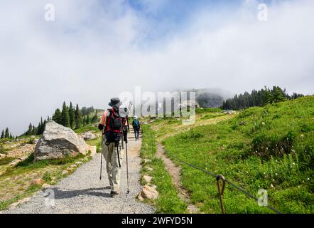 Man randonnée Skyline Loop Trail dans le parc national du Mont Rainier en été. Fleurs sauvages fleurissant le long du sentier. État de Washington. Banque D'Images