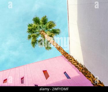 Palmier aux murs roses et blancs à Palm Springs, Californie Banque D'Images