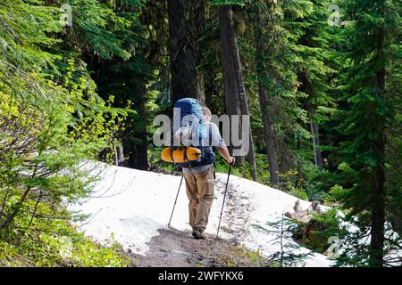 Homme marchant à travers une forêt naviguant sur une parcelle de neige Banque D'Images