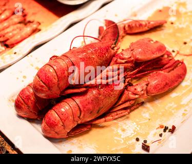 Le homard chinois aux couleurs vives illuminé par des lumières chaudes, débordant de saveurs délectables Banque D'Images