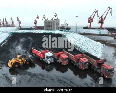 LIANYUNGANG, CHINE - 2 FÉVRIER 2024 - des véhicules de transport transfèrent du charbon électrique déchargé par des cargos au terminal de charbon de Lianyungang, East CH Banque D'Images